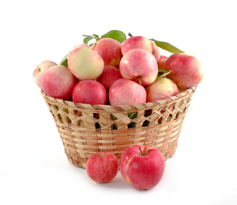 fresh produce-2bfd8d2839df42a2b20a4c314d723eb1.jpg fresh produce